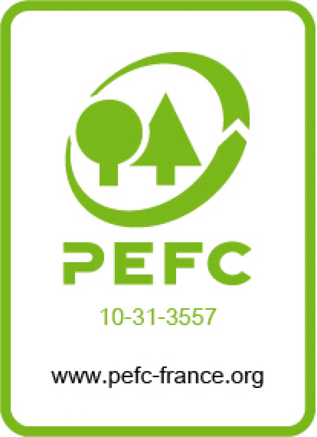 Mecanica mânerul de frusă cioan de nitită 03