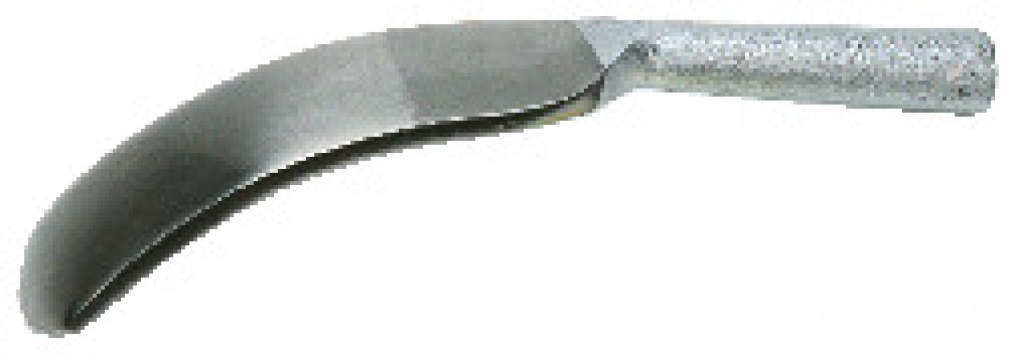 Nicovala tip lingura, lata