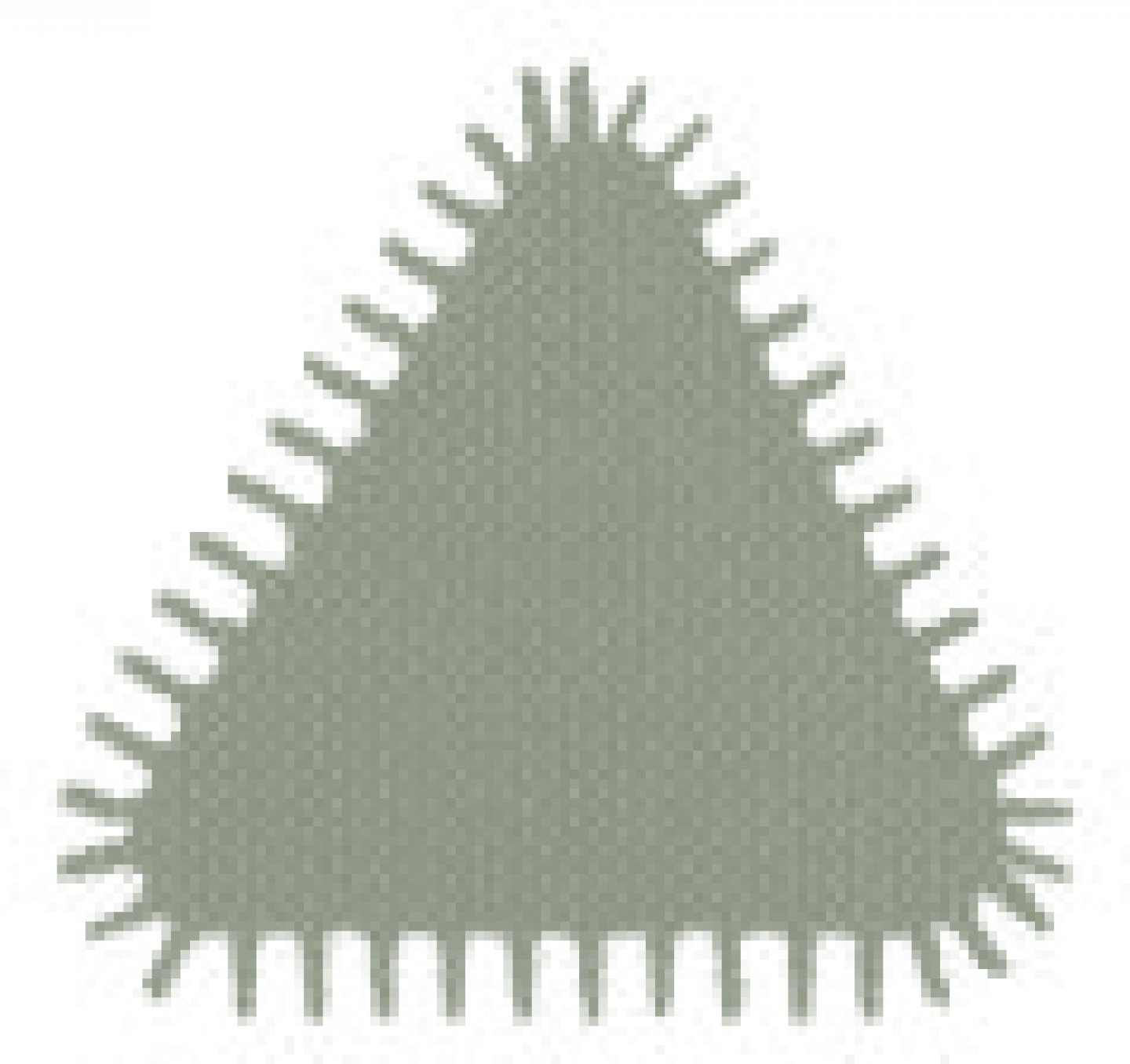 Pila triangulara mâner lemn pe card 02