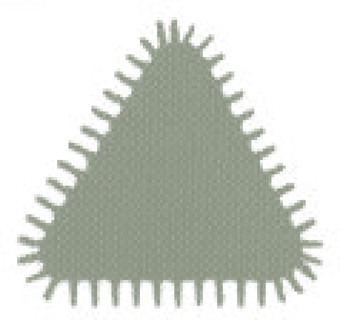 Mâner de lemn conic al treilea punct pe card 02