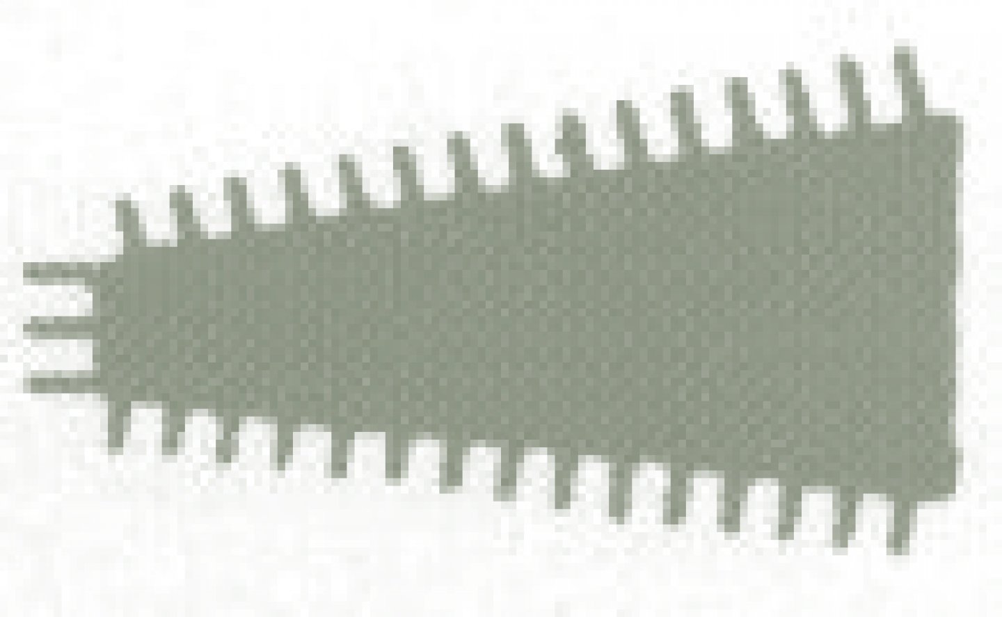 Cuitite de pila ac 02