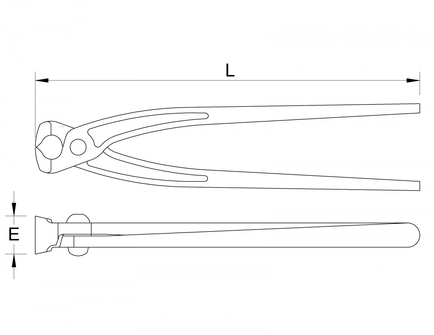 Celeste de dulghier 02