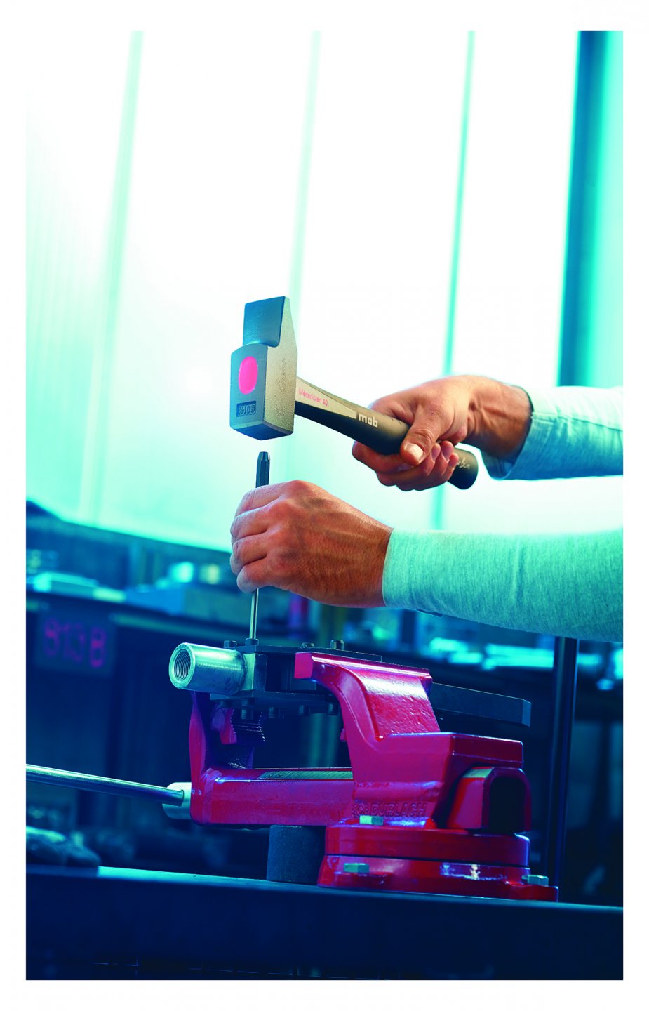 Set 6 dornuri brunate, in suport pvc 02