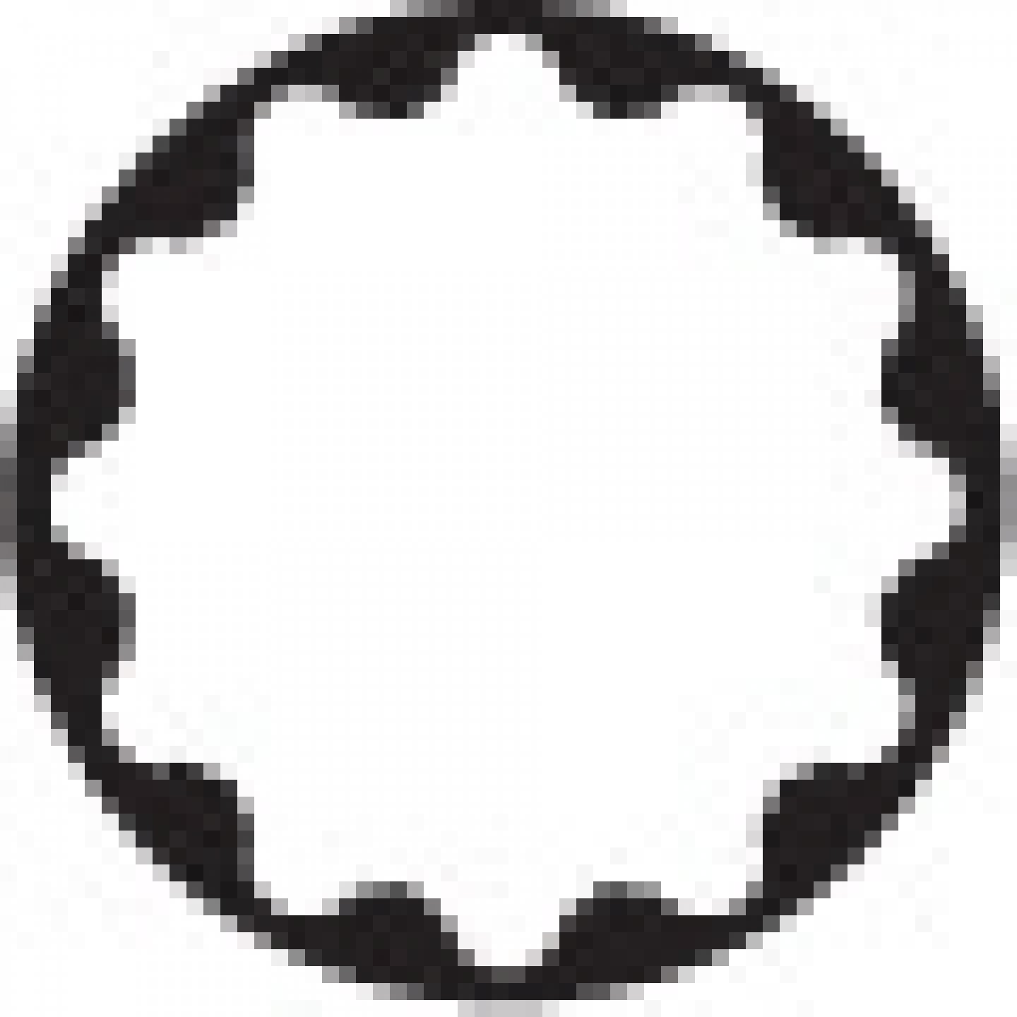 Prisa in 12 puncte 1/2'' pe card 04