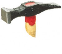 Hickory hickory mâner cu cursul preluns