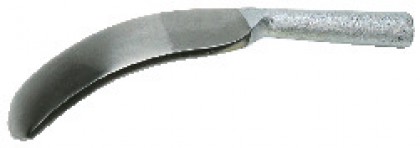 Nicovala tip lingura, lata