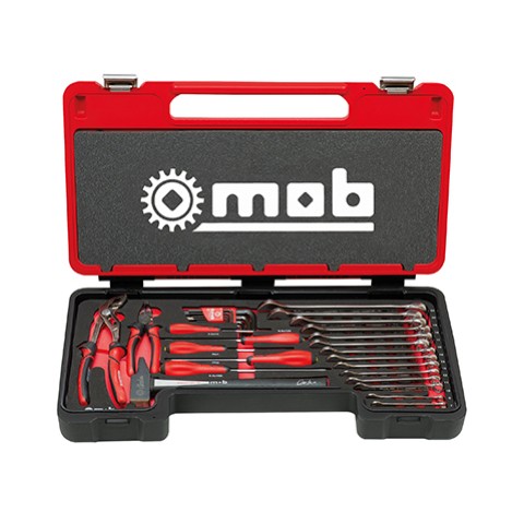 Truse de scule profesionale